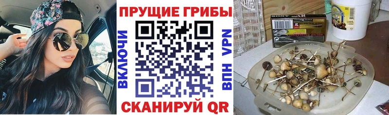Псилоцибиновые грибы прущие грибы  MEGA сайт  Сурск 